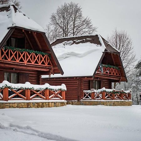 Brvnare Park Borova Βίλα Ζλάτιμπορ Εξωτερικό φωτογραφία