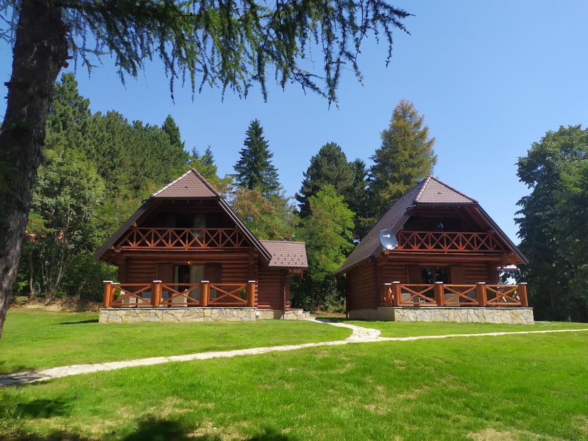 Brvnare Park Borova Βίλα Ζλάτιμπορ Εξωτερικό φωτογραφία