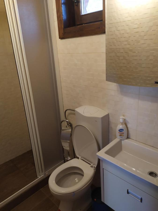 Brvnare Park Borova Βίλα Ζλάτιμπορ Εξωτερικό φωτογραφία