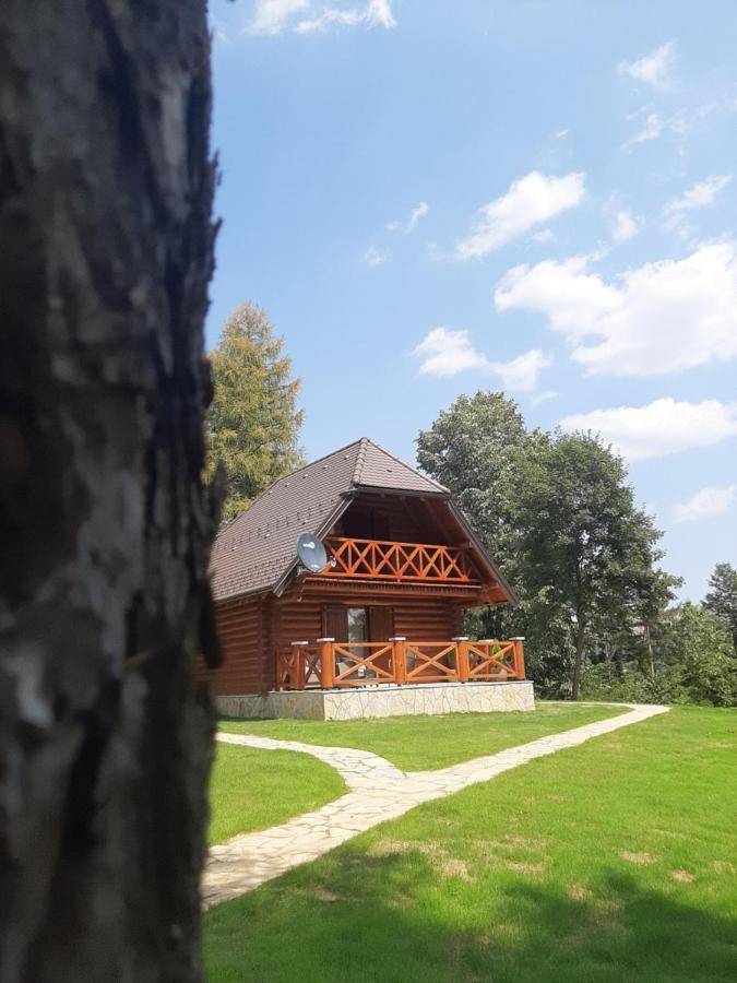 Brvnare Park Borova Βίλα Ζλάτιμπορ Εξωτερικό φωτογραφία