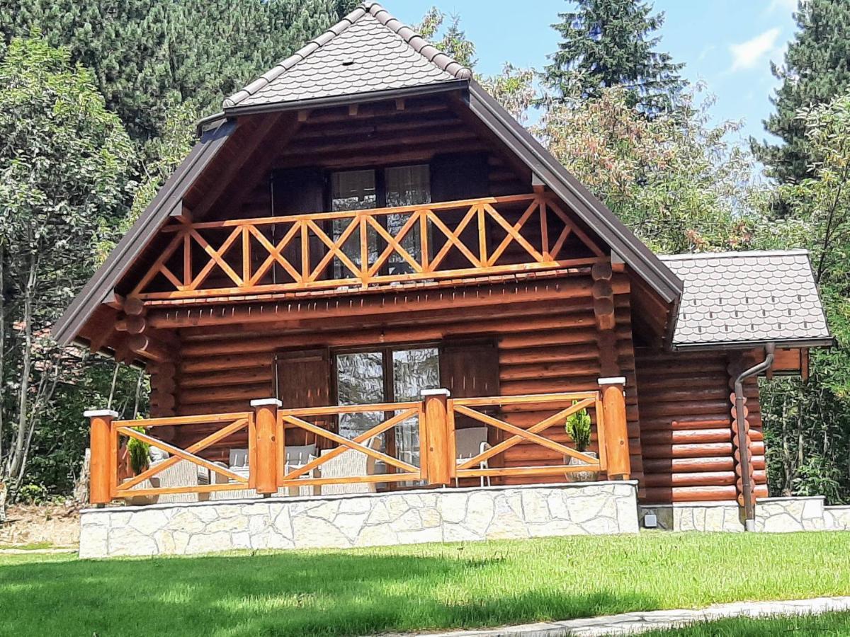 Brvnare Park Borova Βίλα Ζλάτιμπορ Εξωτερικό φωτογραφία