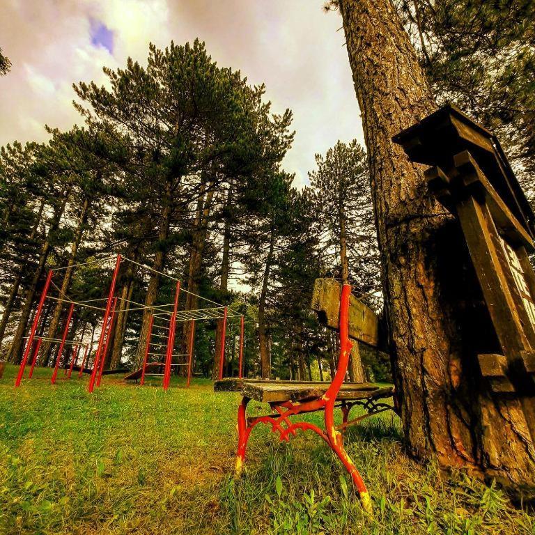 Brvnare Park Borova Βίλα Ζλάτιμπορ Εξωτερικό φωτογραφία