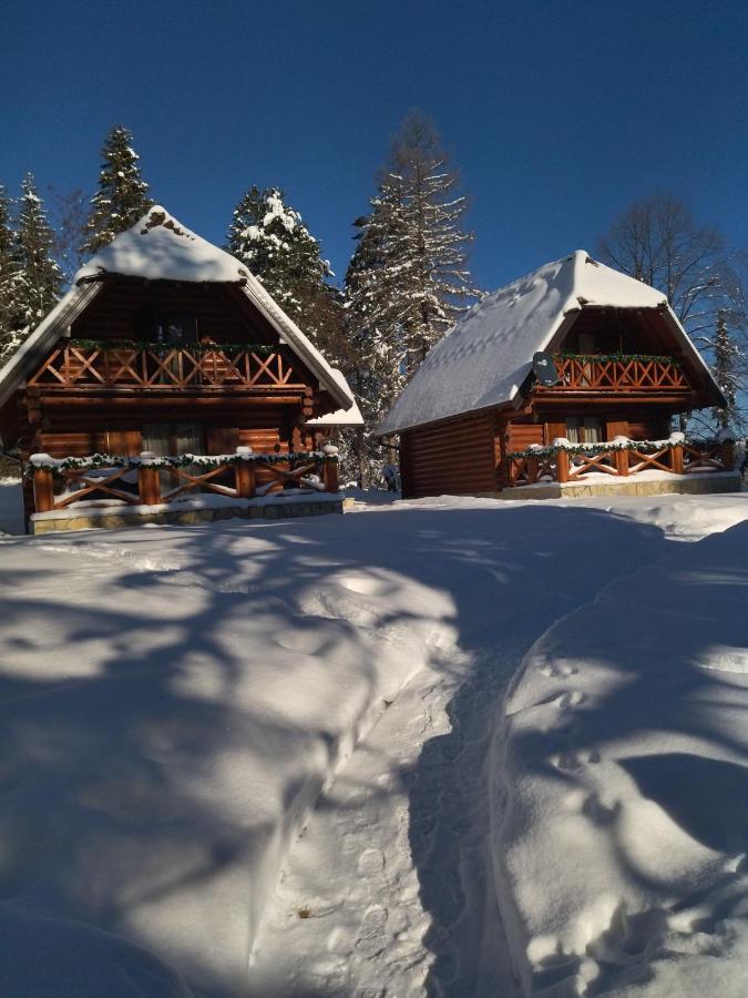 Brvnare Park Borova Βίλα Ζλάτιμπορ Εξωτερικό φωτογραφία