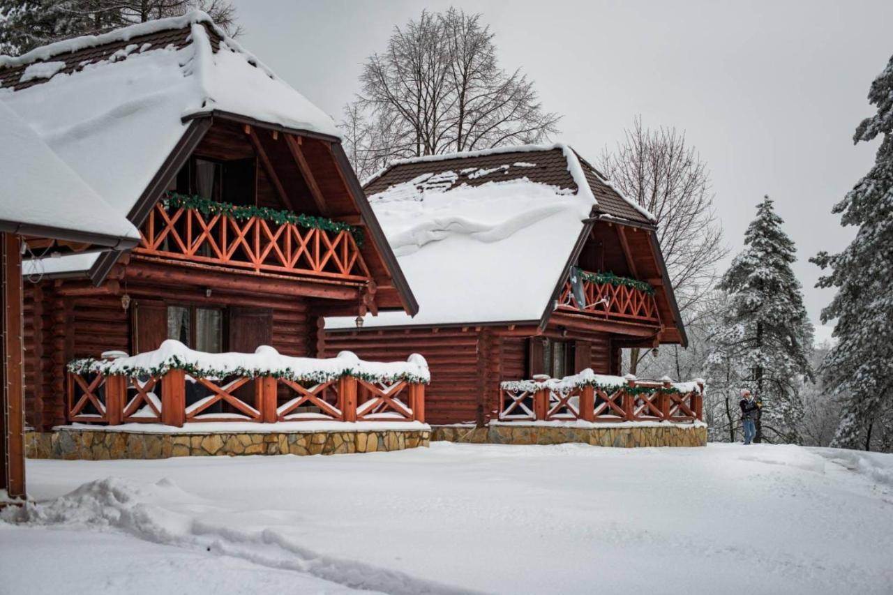 Brvnare Park Borova Βίλα Ζλάτιμπορ Εξωτερικό φωτογραφία