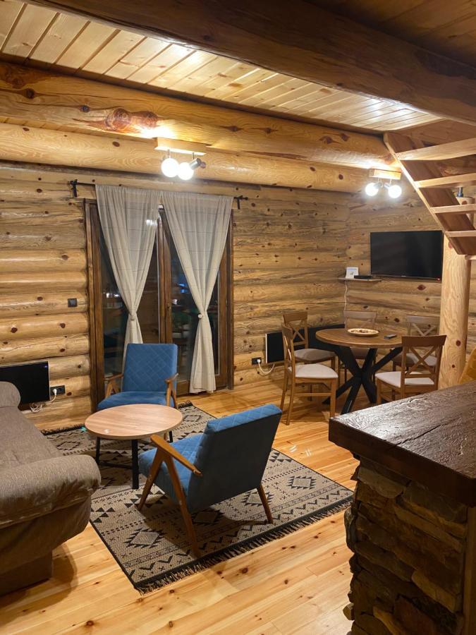 Brvnare Park Borova Βίλα Ζλάτιμπορ Εξωτερικό φωτογραφία