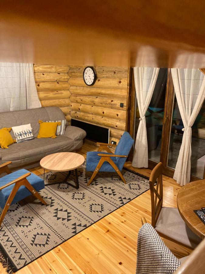Brvnare Park Borova Βίλα Ζλάτιμπορ Εξωτερικό φωτογραφία